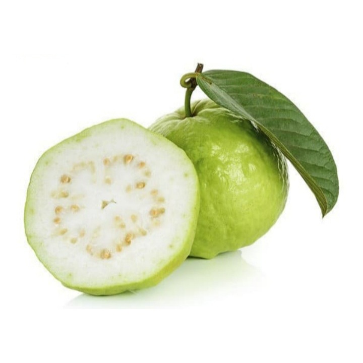 

JAMBU KRISTAL / JAMBU CHRISTAL / JAMBU NON BIJI
