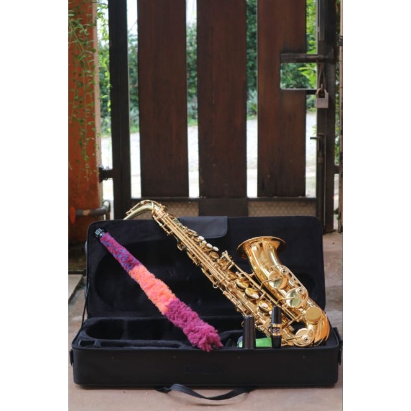 zeff France alto Saxophone Zas-600