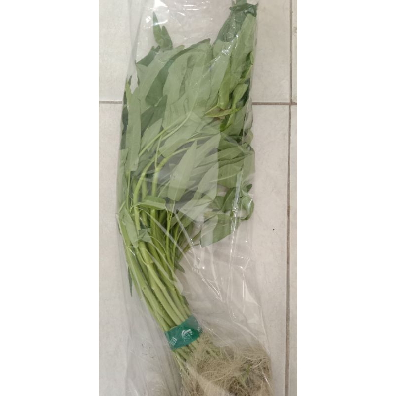 

kangkung hidroponik 250gr