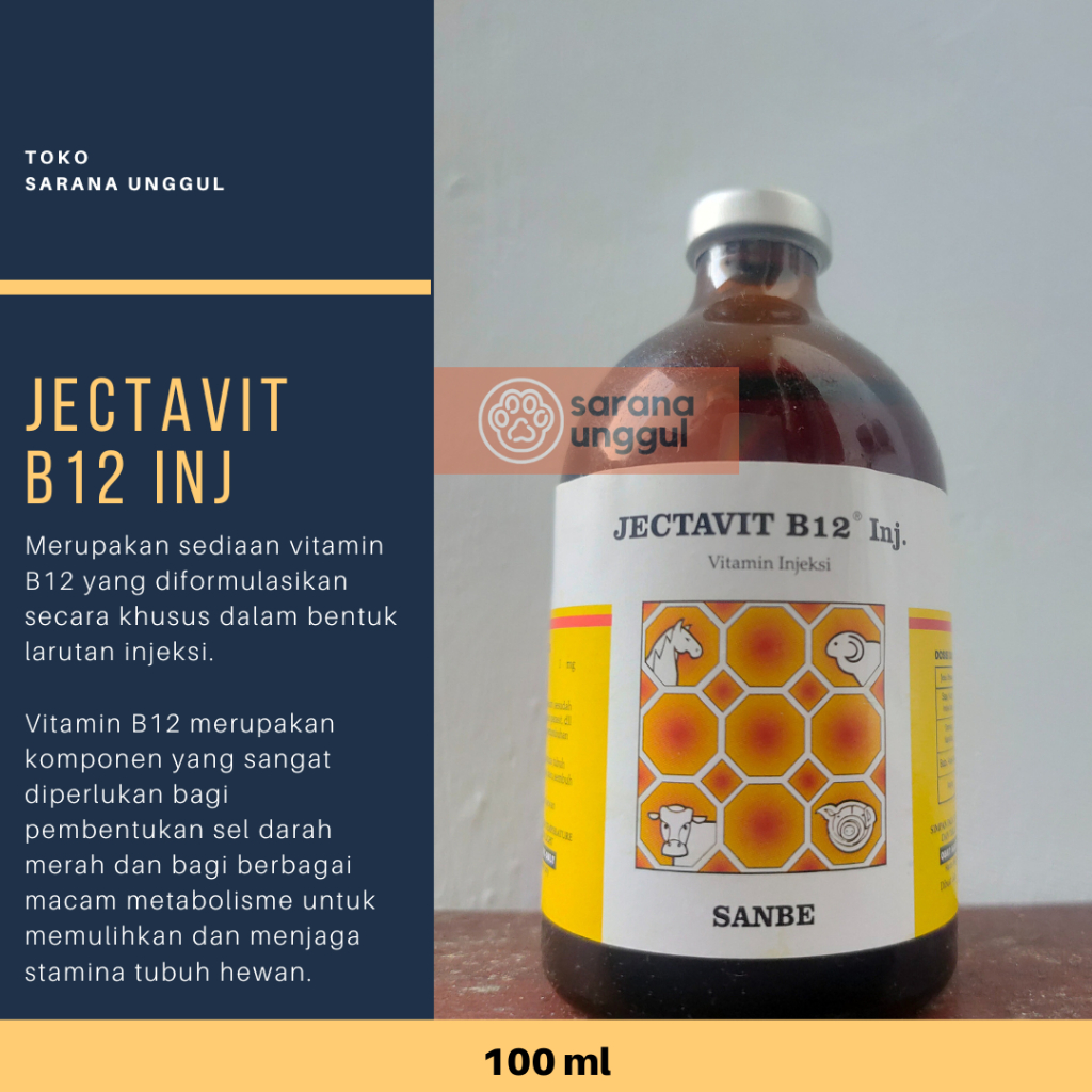 JECTAVIT B12 100 ml Vitamin B12 untuk Sapi, Kambing, Babi, Anjing, Kucing, dll