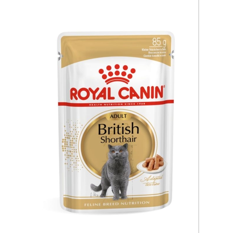 Royal Canin RC British Shorthair Adult Pouch Wet Food 85gr - Makanan Basah Sachet untuk Kucing British Shorthair Dewasa