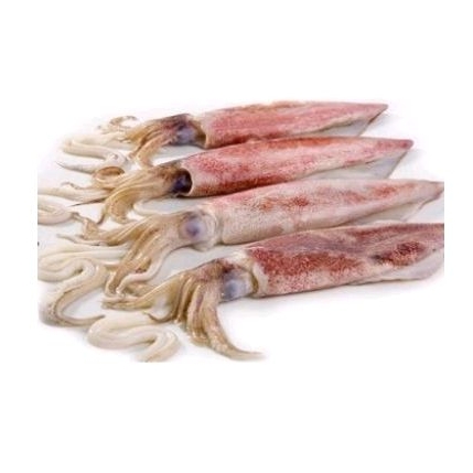 

Cumi cumi sero segar 250 gram