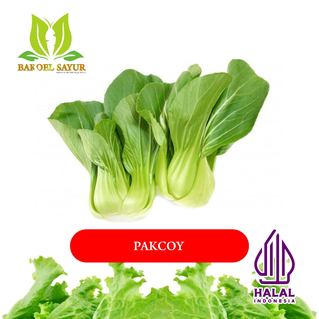 

PAKCOY / SAWI PAKCOY SEGAR / 250gr