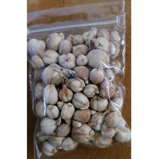 

kapulaga asli Garut ka 18%