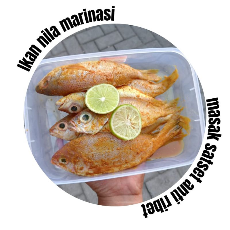 

Ikan nila marinasi 500 gr