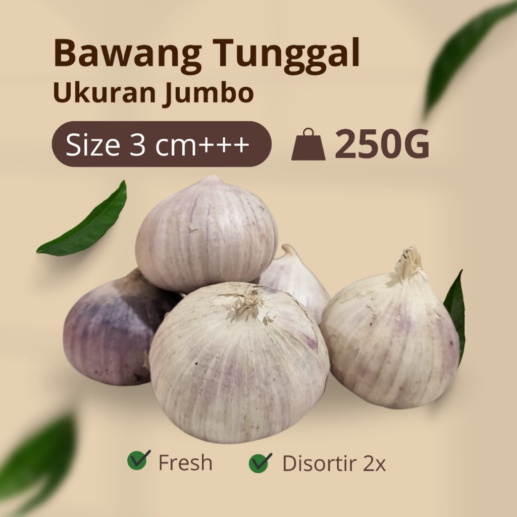 

Bawang Putih Tunggal Lanang JUMBO 3 Cm 250 GR