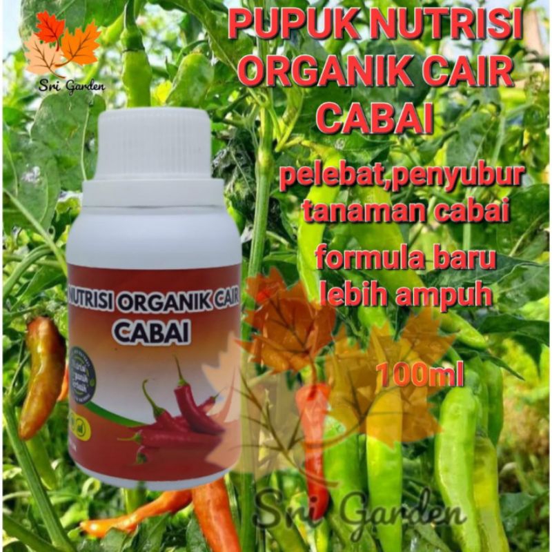 Pupuk cabai cair nutrisi organik pelebat tanaman cabai pupuk semprot penyubur tanaman cabai pupuk pe