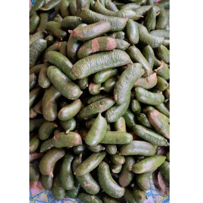 

kabau kulitan