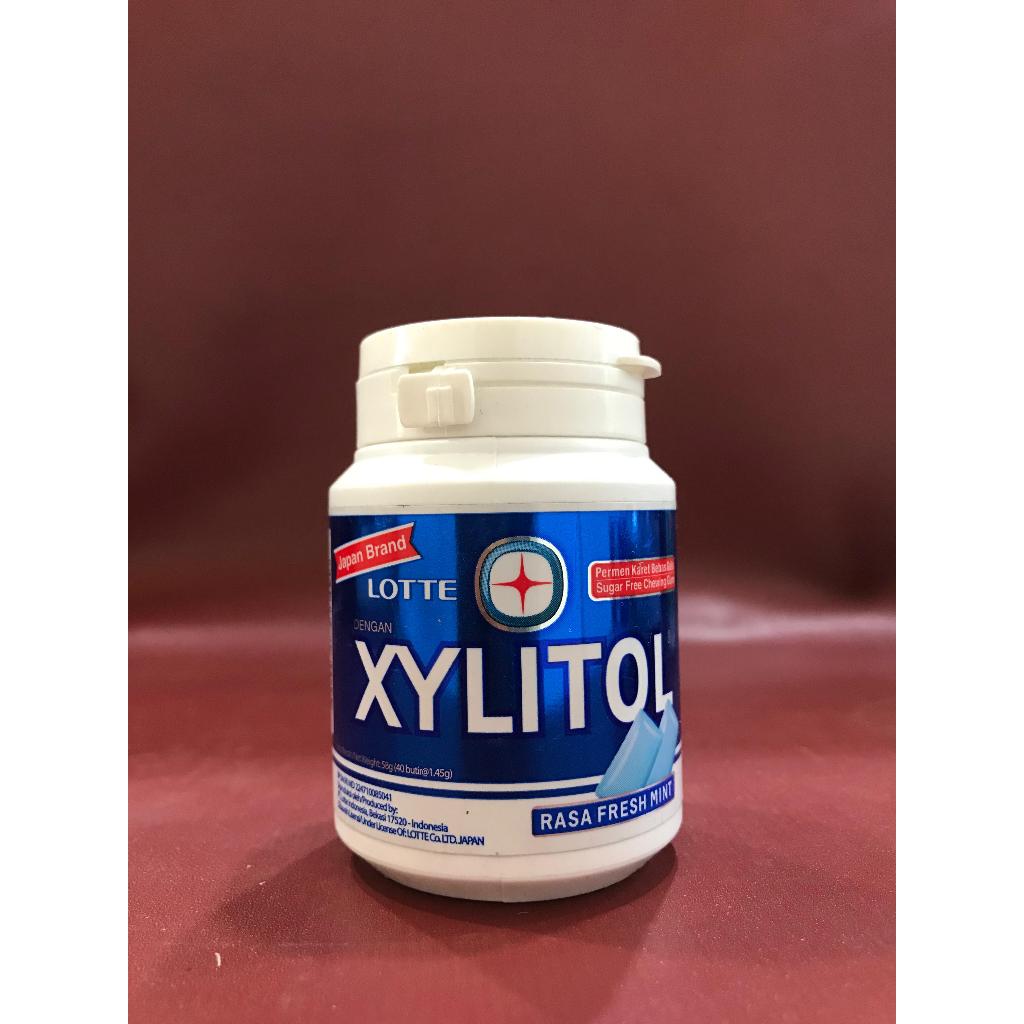 Lotte Xylitol Fresh Mint 58G - Permen Karet Rasa Mint