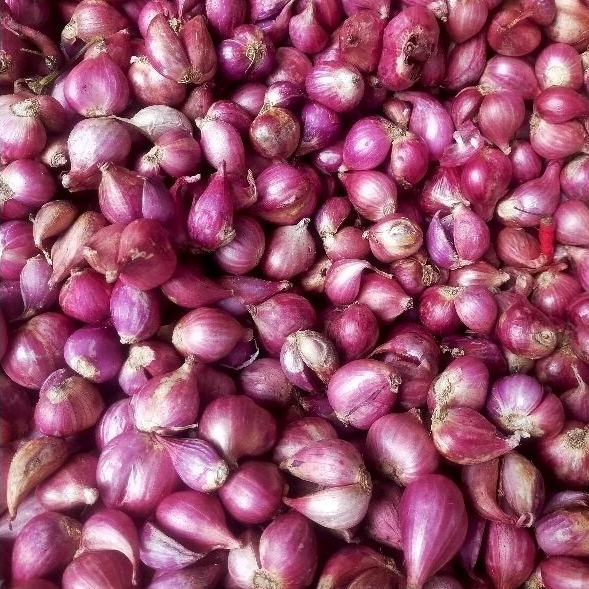 

bawang merah 250 gram