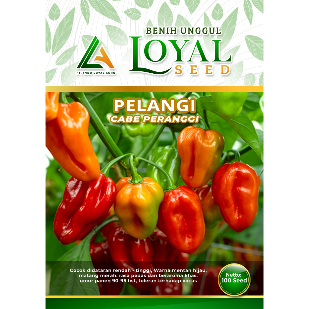 

PELANGI CABE PERENGGI 100 S LOYAL SEED