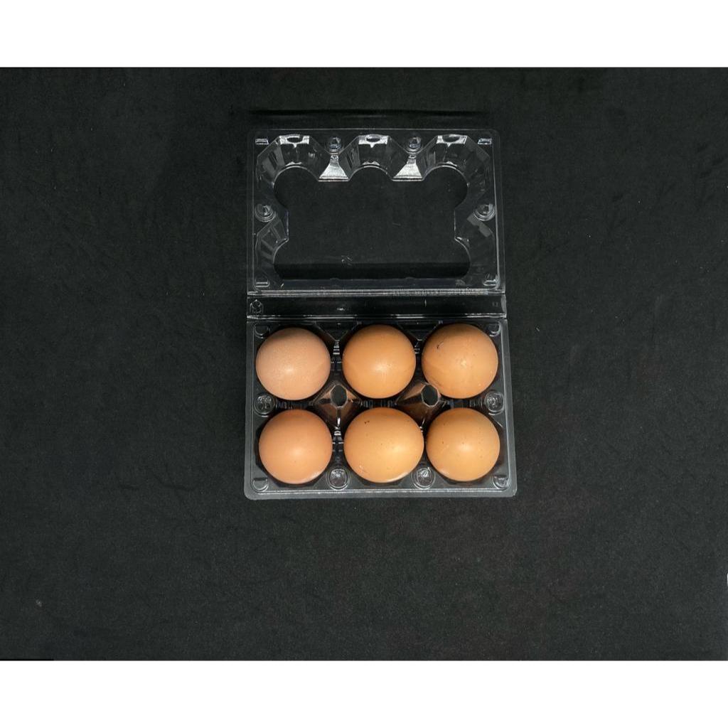 

Telur ayam segar, telur ayam , telur ayam isi 6