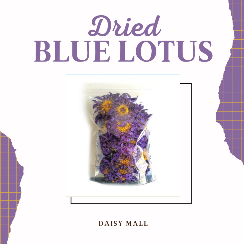 

DRIED BLUE LOTUS / BUNGA LOTUS BIRU KERING / BUNGA LOTUS KERING BIRU 20GR TERMURAH