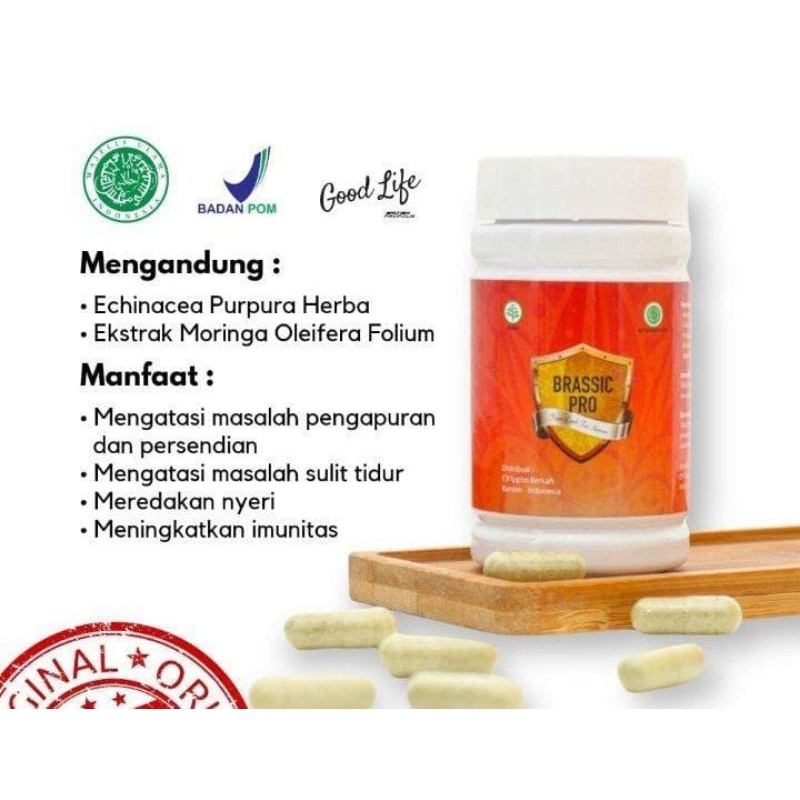 BRASSIC PRO 100% ORI