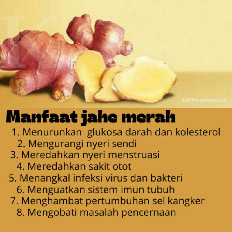 

Jahe Merah Instant atau bubuk kemasan 500gr