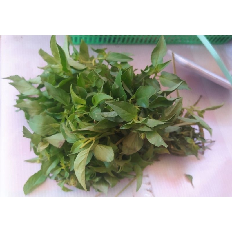 

daun kemangi 1 ikat