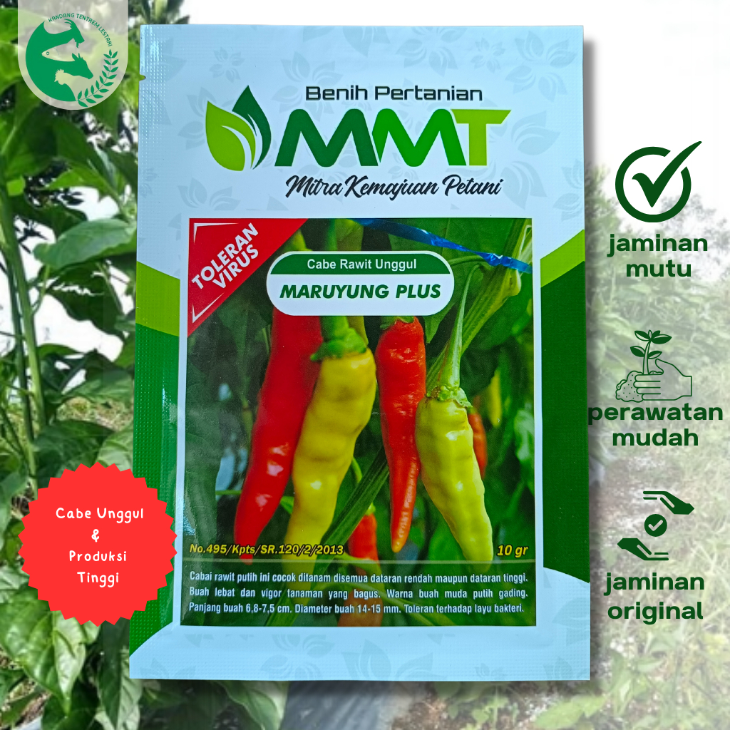 Benih Cabe Rawit Maruyung Plus 10 Gram Cabai Unggul Asli MMT