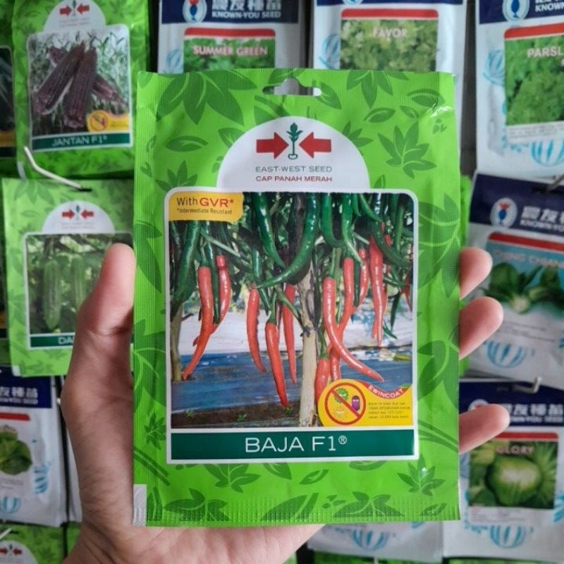 Benih Cabe Merah Besar Baja F1 Isi 125 biji