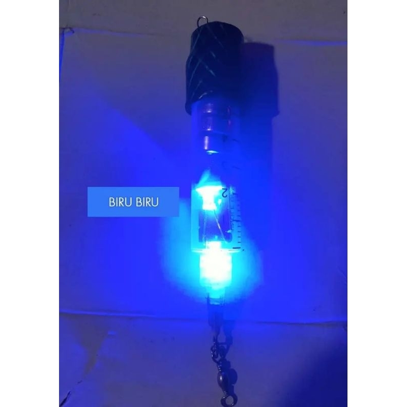 lampu LED untuk cumi