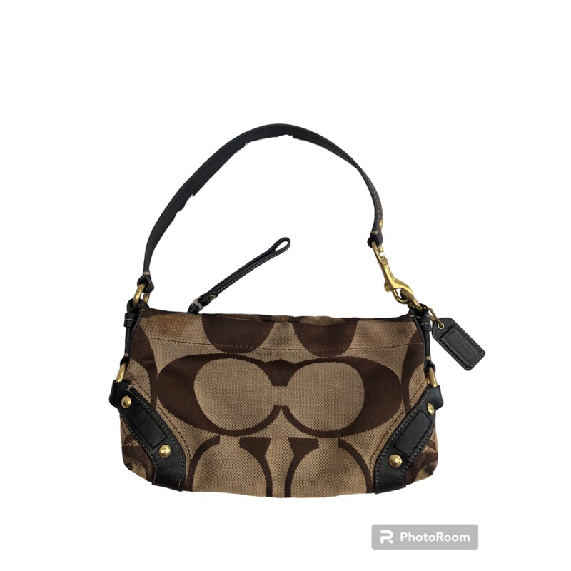 COACH Small Carly Bag