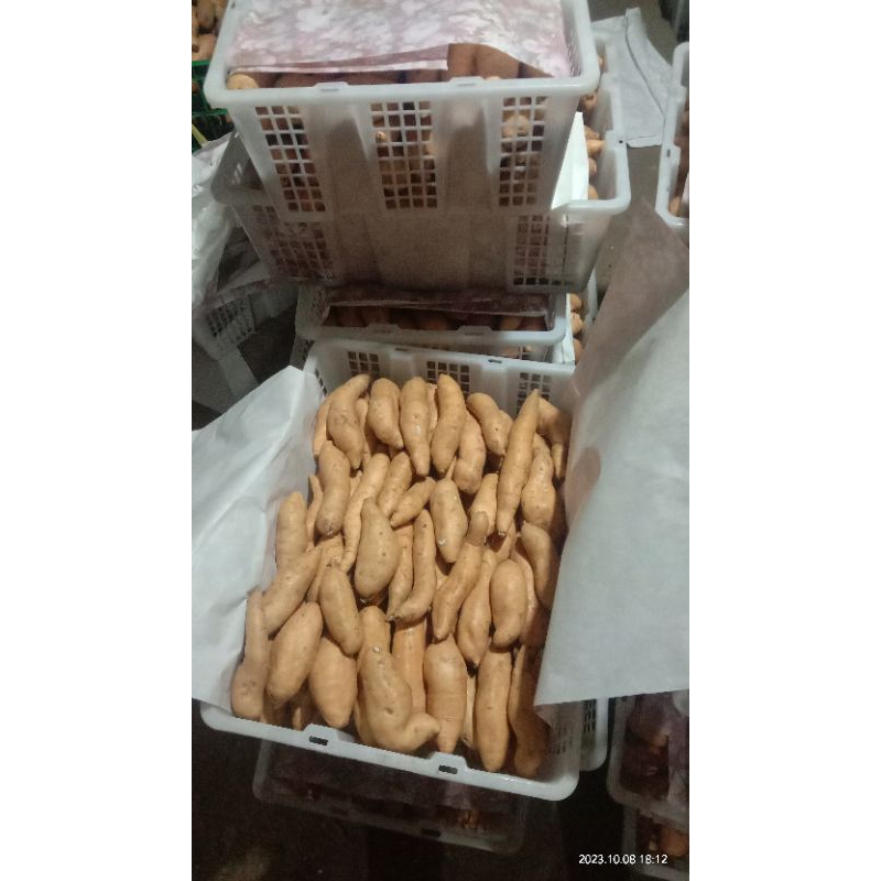 UBI MENTAH CILEMBU ASLI