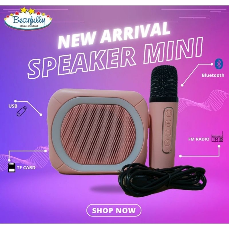 speaker portable bluetooth karaoke