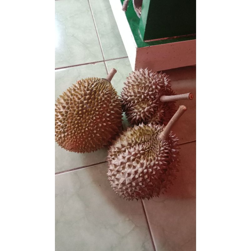 

paket 3 butir durian lokal