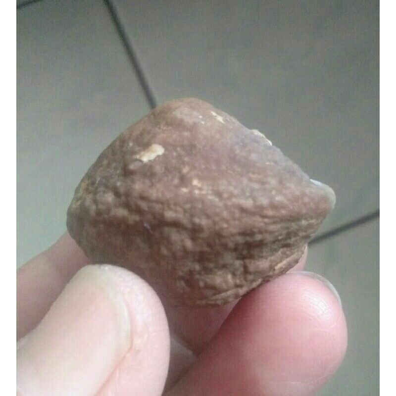 Muncang Adu Yanti Denpom Tua Jatuhan