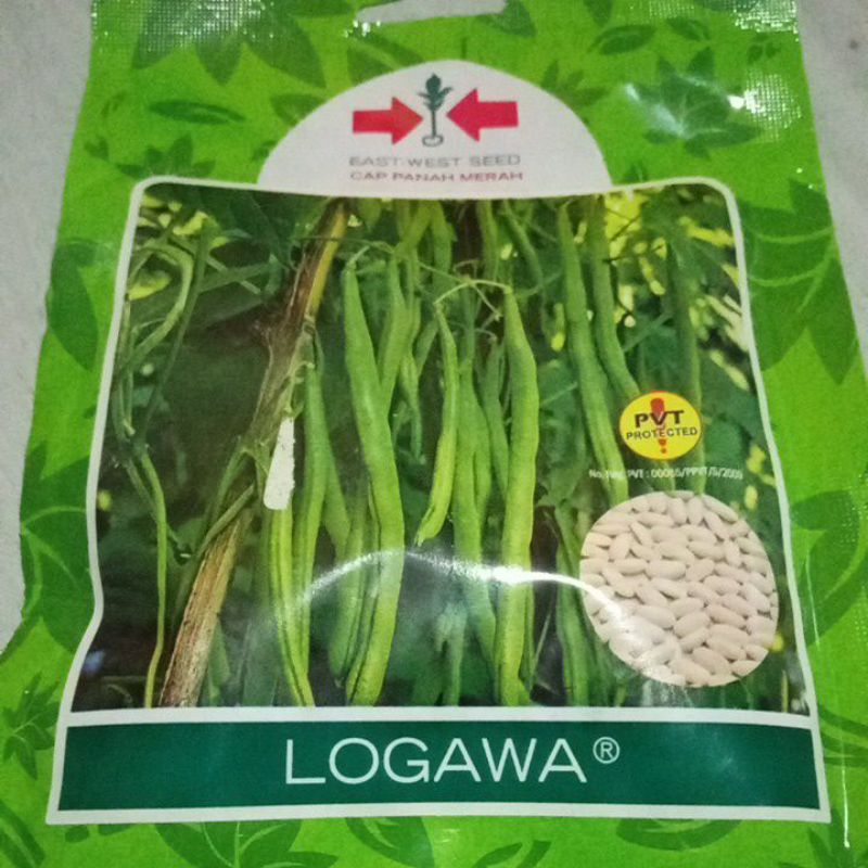 Bibit Buncis Benih Buncis