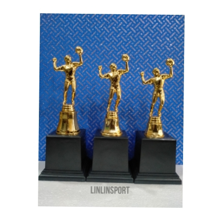PIALA VOLLY / TROPHY BOLA VOLI SET & SATUAN TERMURAH