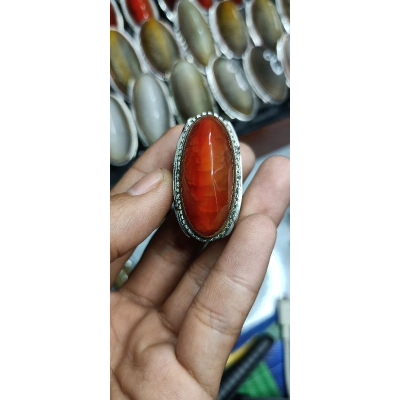 PANDAN MERAH SISIK BETOK