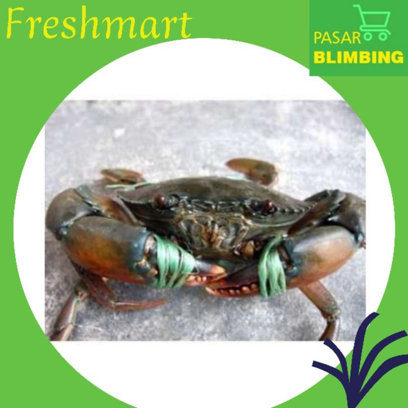 

Kepiting 1 kg
