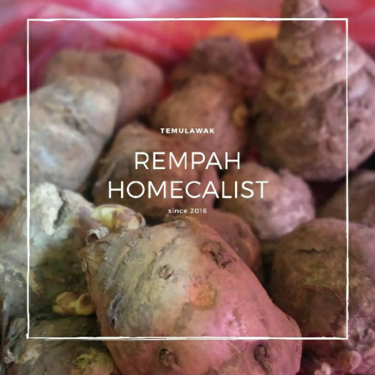 

➫✬✵ Temulawak 1kg Temulawak Segar Curcuma Pasti Murah