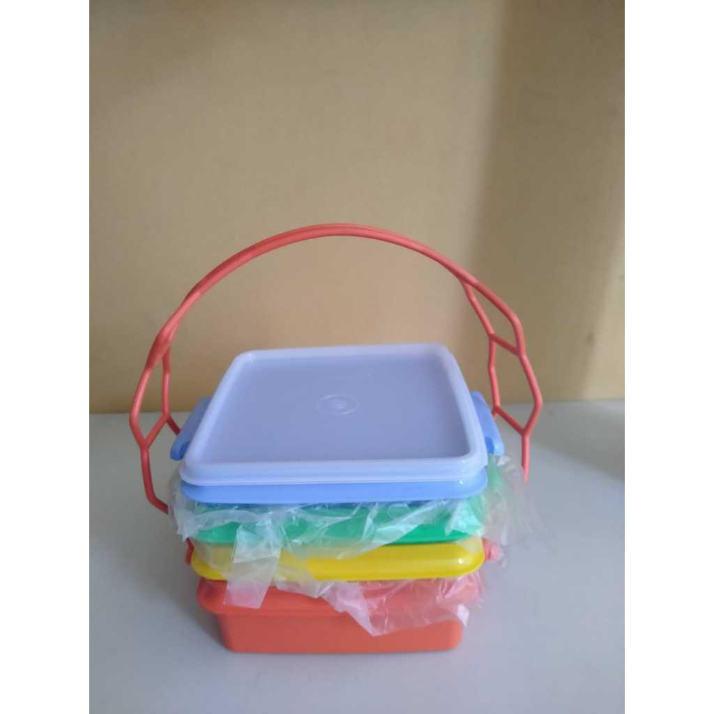 TUPPERWARE - CARRY ALL SET