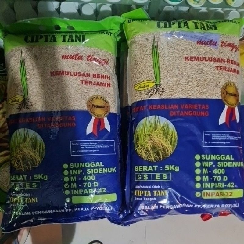 Benih cipta tani M-70 5 kg  umur pendek