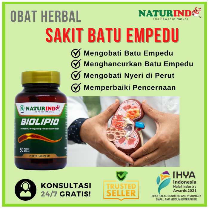 OBAT PENGHANCUR BATU EMPEDU HERBAL PELARUT BATU EMPEDU BIOLIPID HERBAL NATURINDO