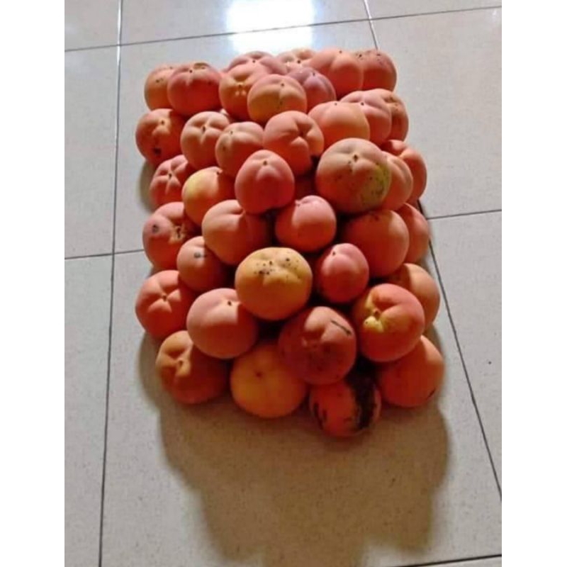 

Buah mentega /Bisbull 3 rasa 1 kg