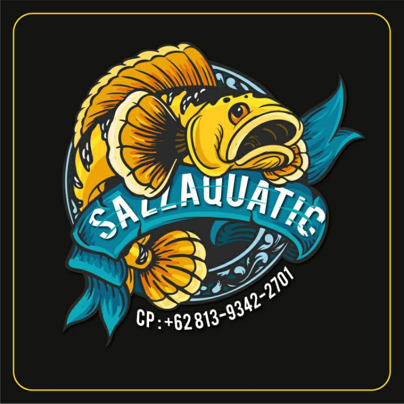 Limbata cb 6-7cm± rim tebal tebal