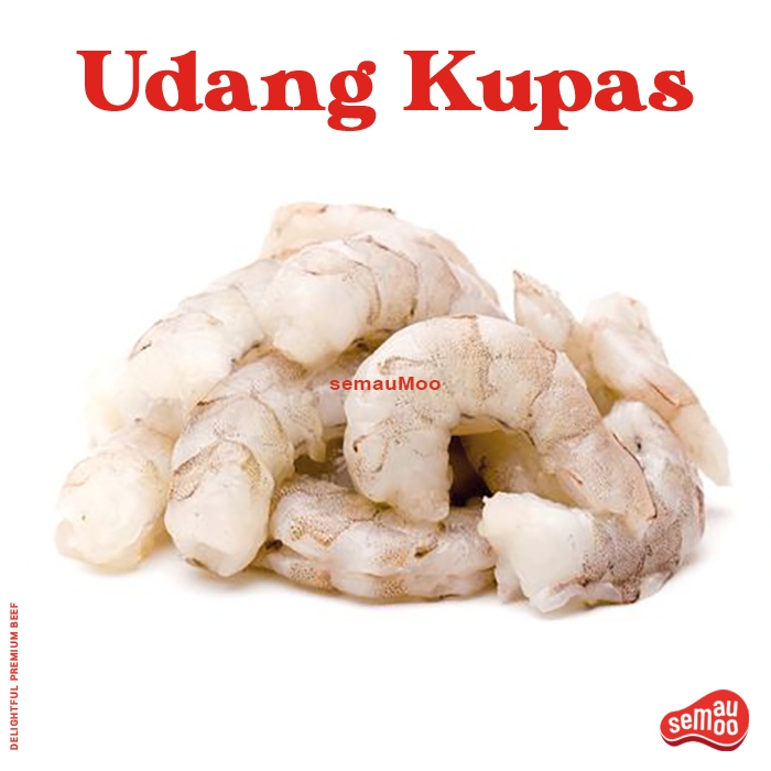 

Udang Kupas Segar Beku Frozen