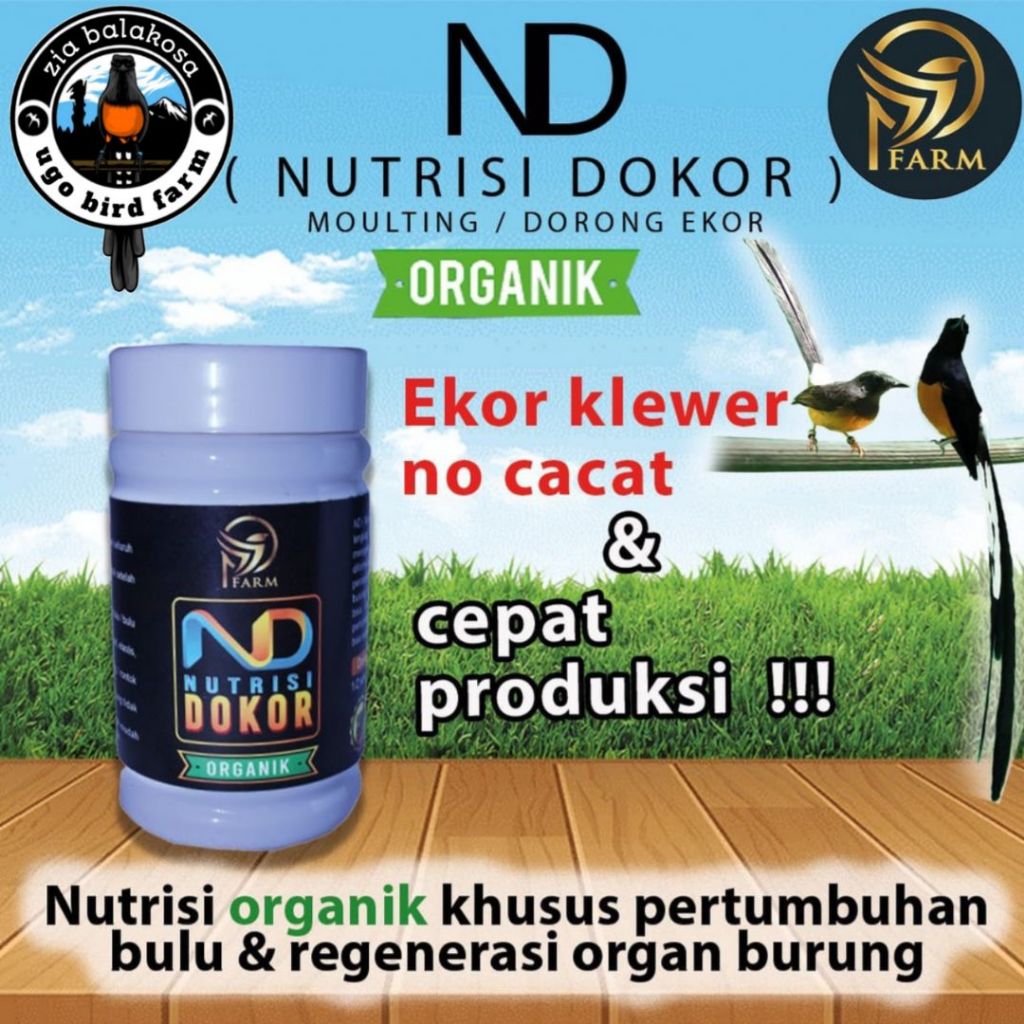 Suplemen Burung Vitamin organik dorong ekor murai batu (moulting ngurak dokor)
