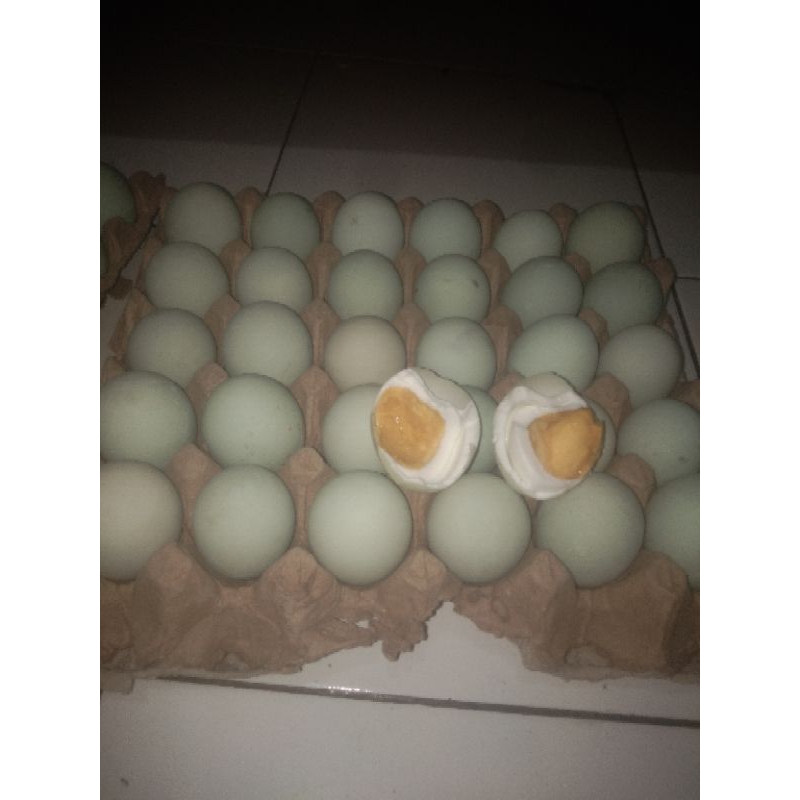 

telur bebek asin