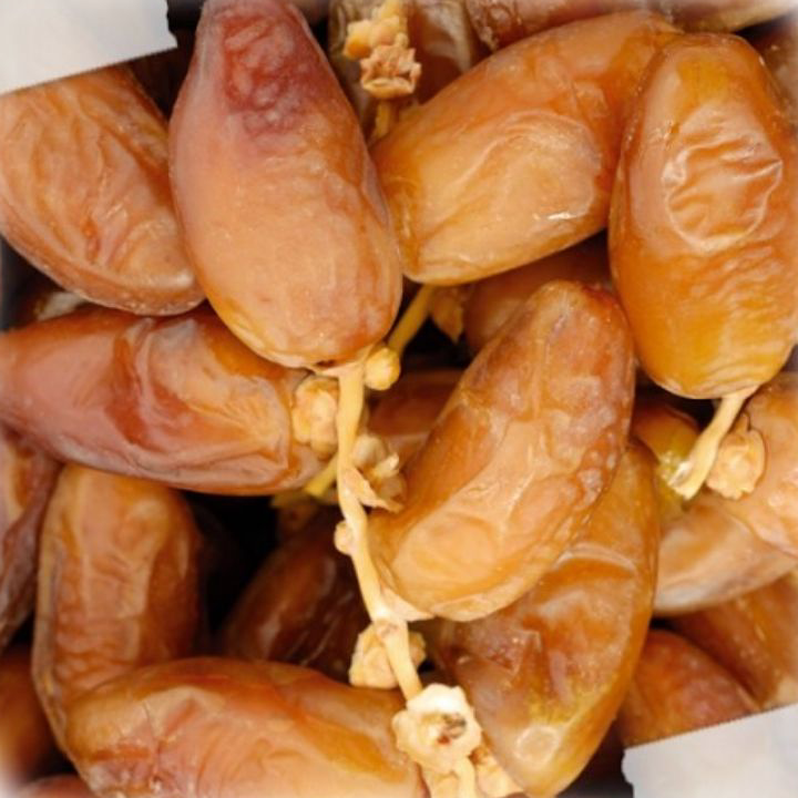 

★★★★ Kurma Tunisia Tangkai 1kg//kurma tunisia tangkai fress