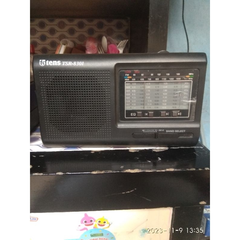 Tens TSR-8301 Radio Portable
