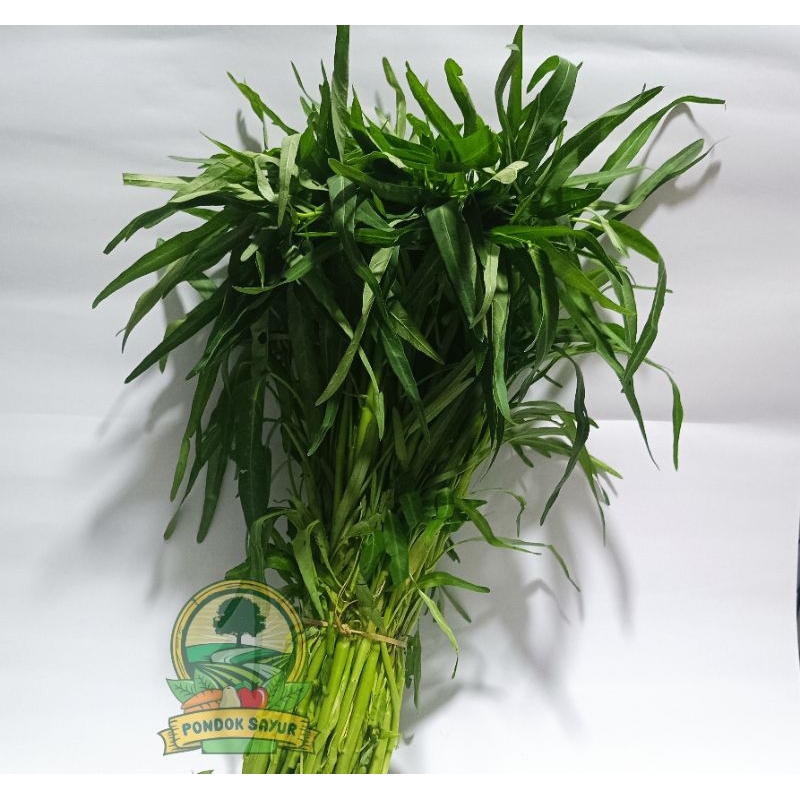 

Kangkung Segar 1 ikat