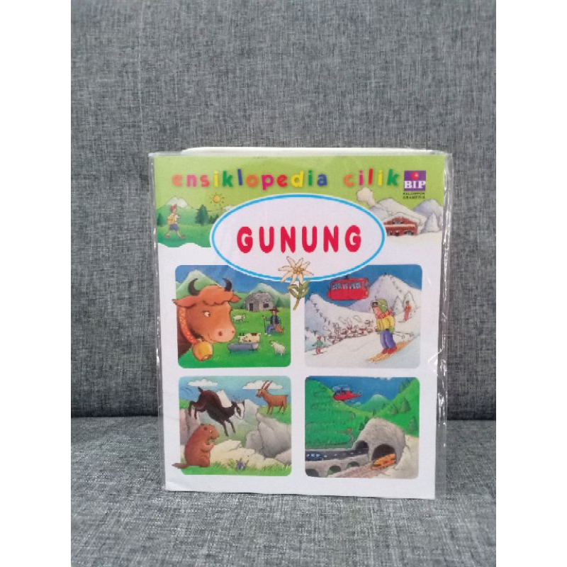 Ensiklopedia Cilik- Gunung