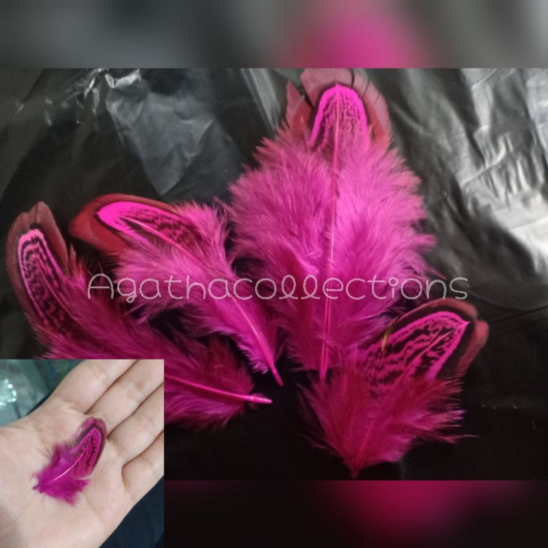 Bulu Burung hantu asli /bird carnaval/pawai/bulu menari per 30 pcs