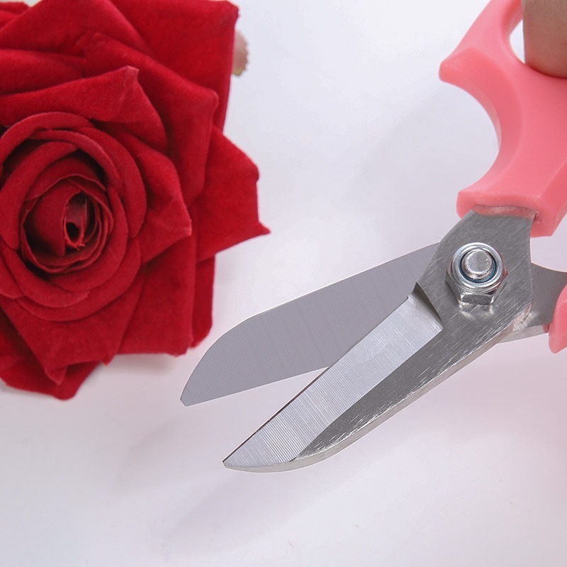 

Adn BONG - GUNTING BUNGA Florist - Gunting Batang Tanaman - Gunting Estetik - Gunting Cantik -