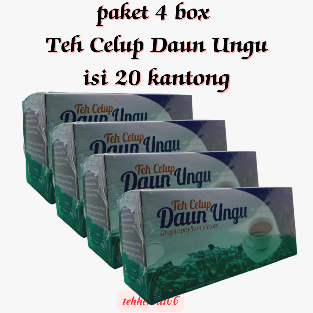 

4 BOX Teh Celup Daun Ungu 20 Kantong - Herbal Wasir dan Ambeien