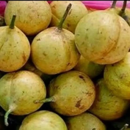 

buah pala utuh segar perbutir