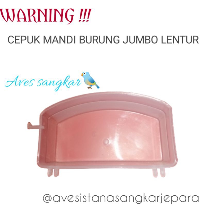 CEPUK MANDI BURUNG / CEPUK MANDI BURUNG JUMBI LENTUR